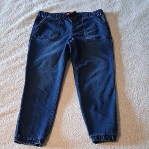 Astor Denim Stylish Blue Ankle Jeans for Women
